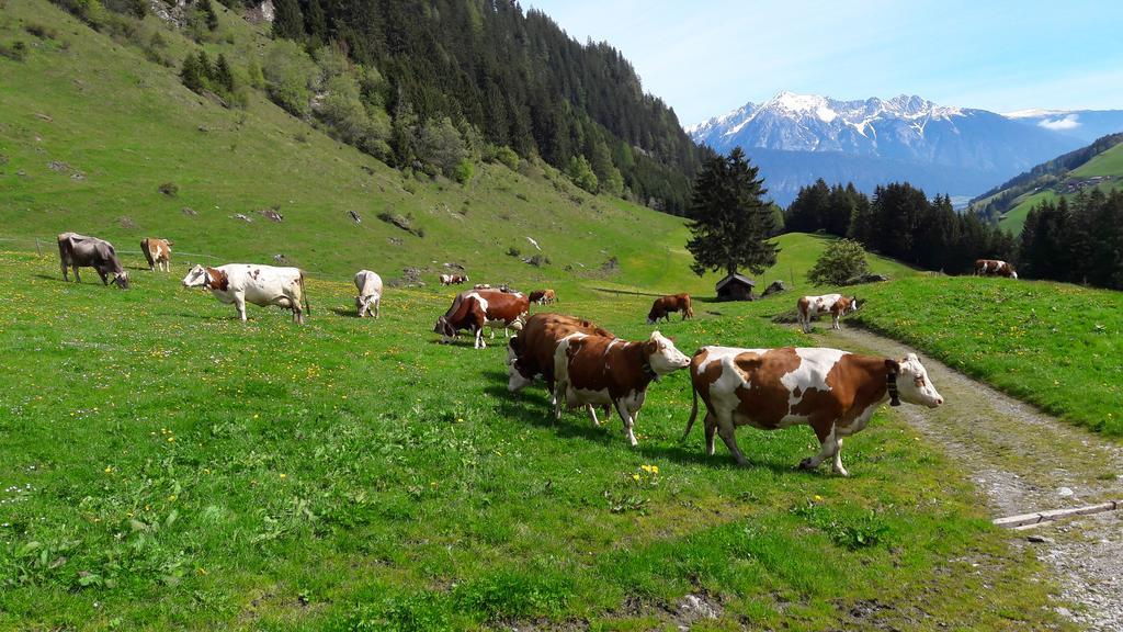 Apartments Feichtner Manfred -Tulfes - Innsbruck-Land - Tirol Εξωτερικό φωτογραφία
