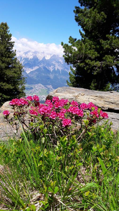 Apartments Feichtner Manfred -Tulfes - Innsbruck-Land - Tirol Εξωτερικό φωτογραφία